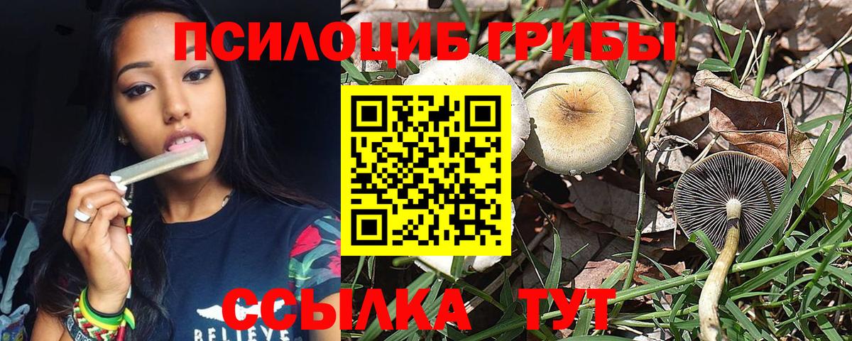 Галлюциногенные грибы GOLDEN TEACHER  Вход с VPN  Пугачёв 