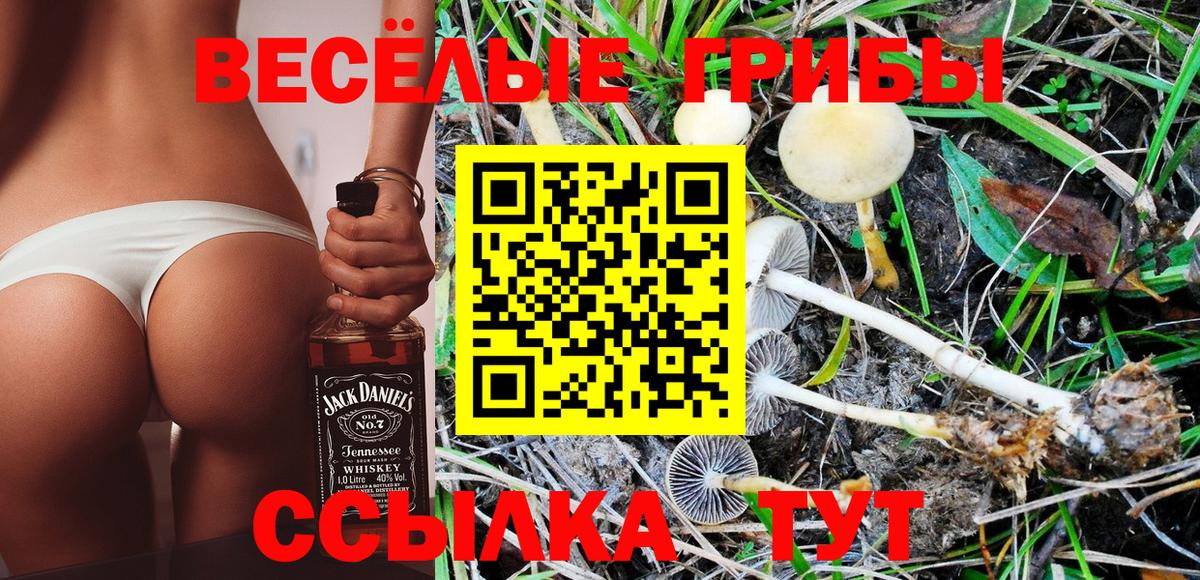Галлюциногенные грибы Magic Shrooms Пугачёв